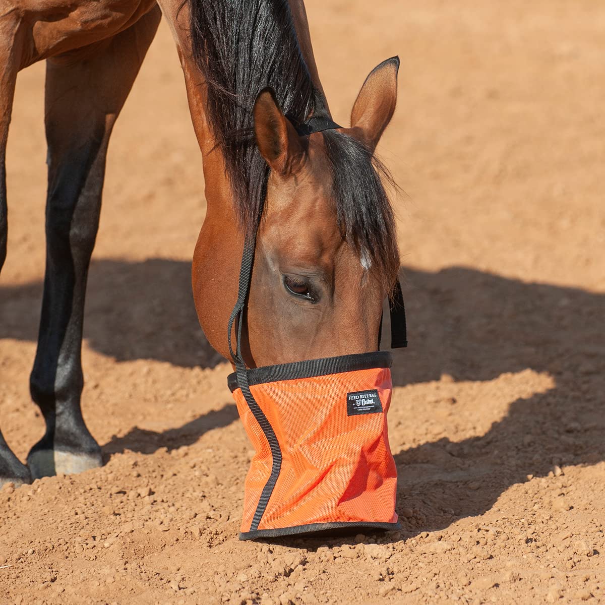 Cashel Feed Rite Bag: End Feed Waste & Stress for Your Horse