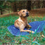 Weaver Leather Terrain Dog Camp Bed for Dog - Hooves and Paws