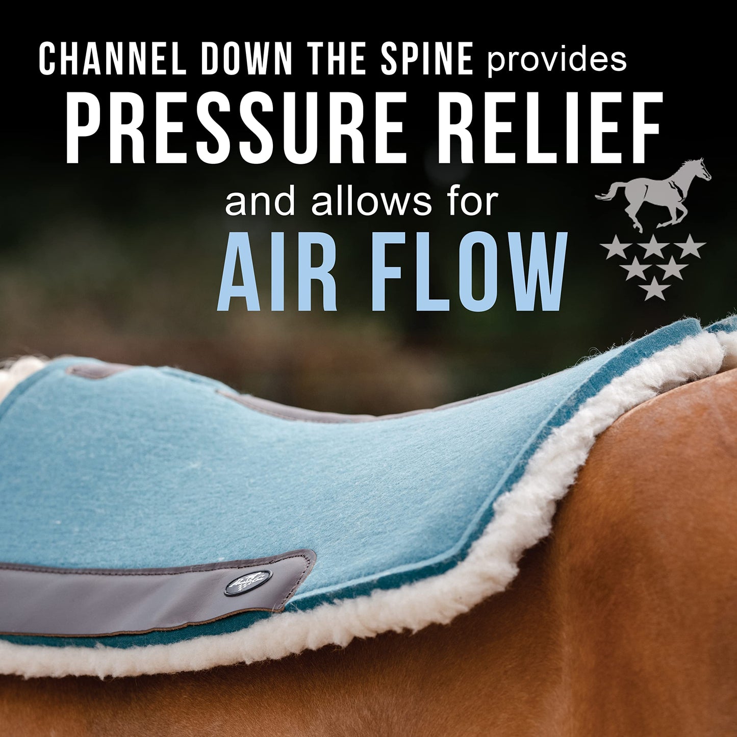 Professional's Choice 100% Wool Felt Contoured Saddle Pad - Pressure Relief & Comfort