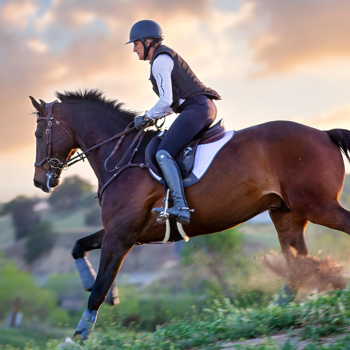 Professional's Choice VenTECH XC Cross Country Saddle Pad - Breathable & Durable 23" x 20"