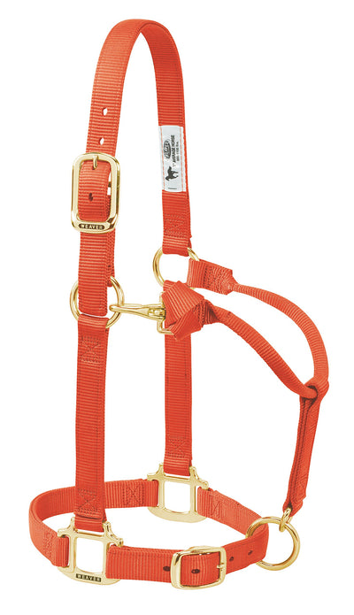 Weaver Leather Horse Halter: Adjustable Nylon for Comfort & Durability