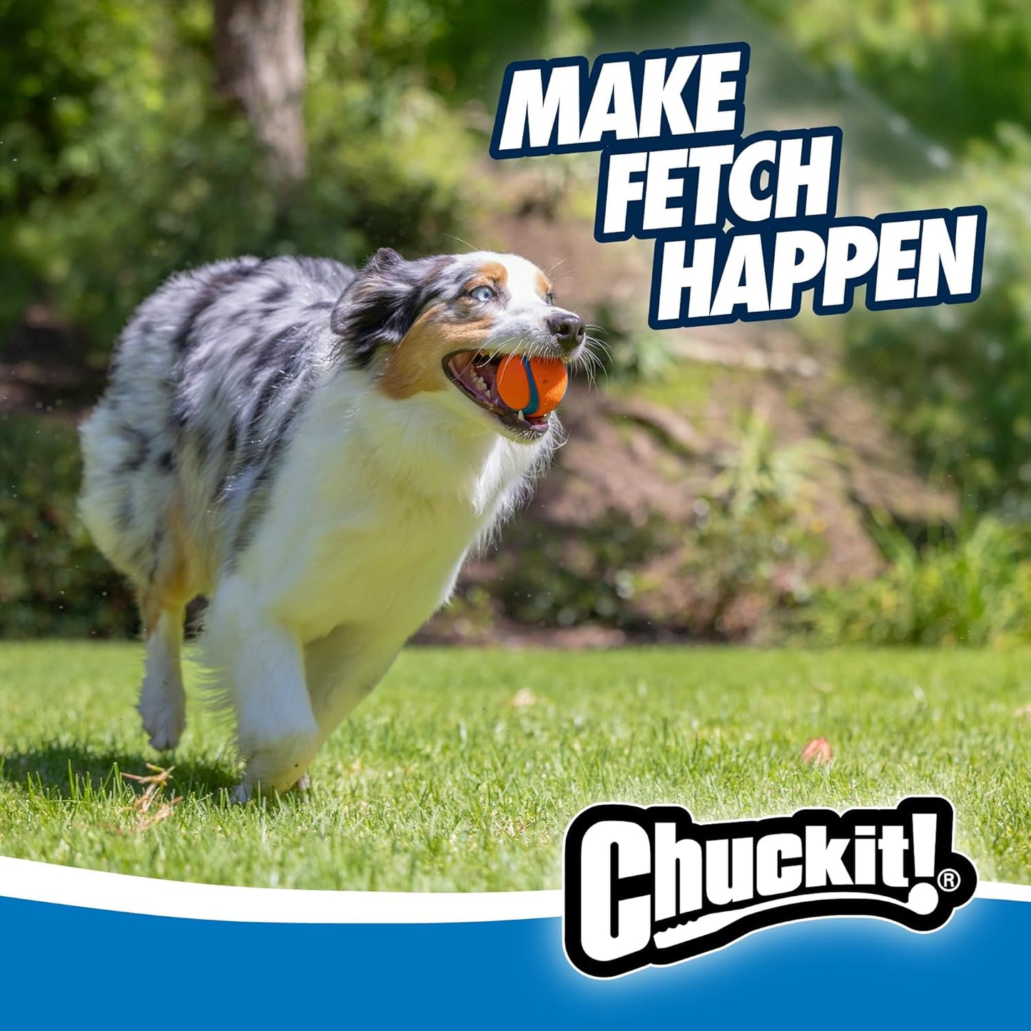Chuckit! Ultra Squeaker Dog Ball, Fetch Toy, Medium, 1 Pack (Sell out)