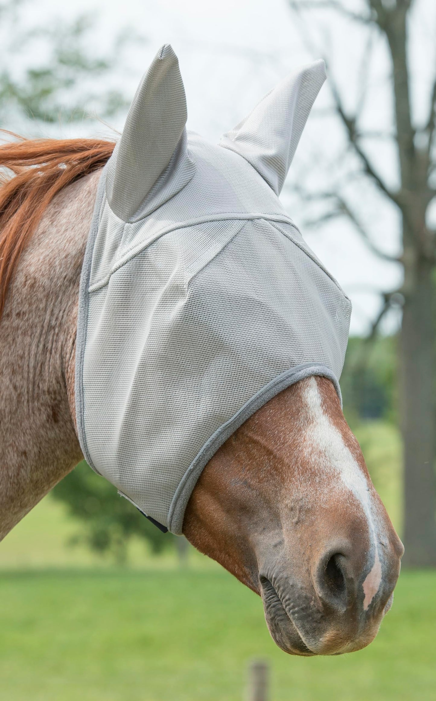 Weaver Leather Fly Mask with Replaceable Xtended Life Closure