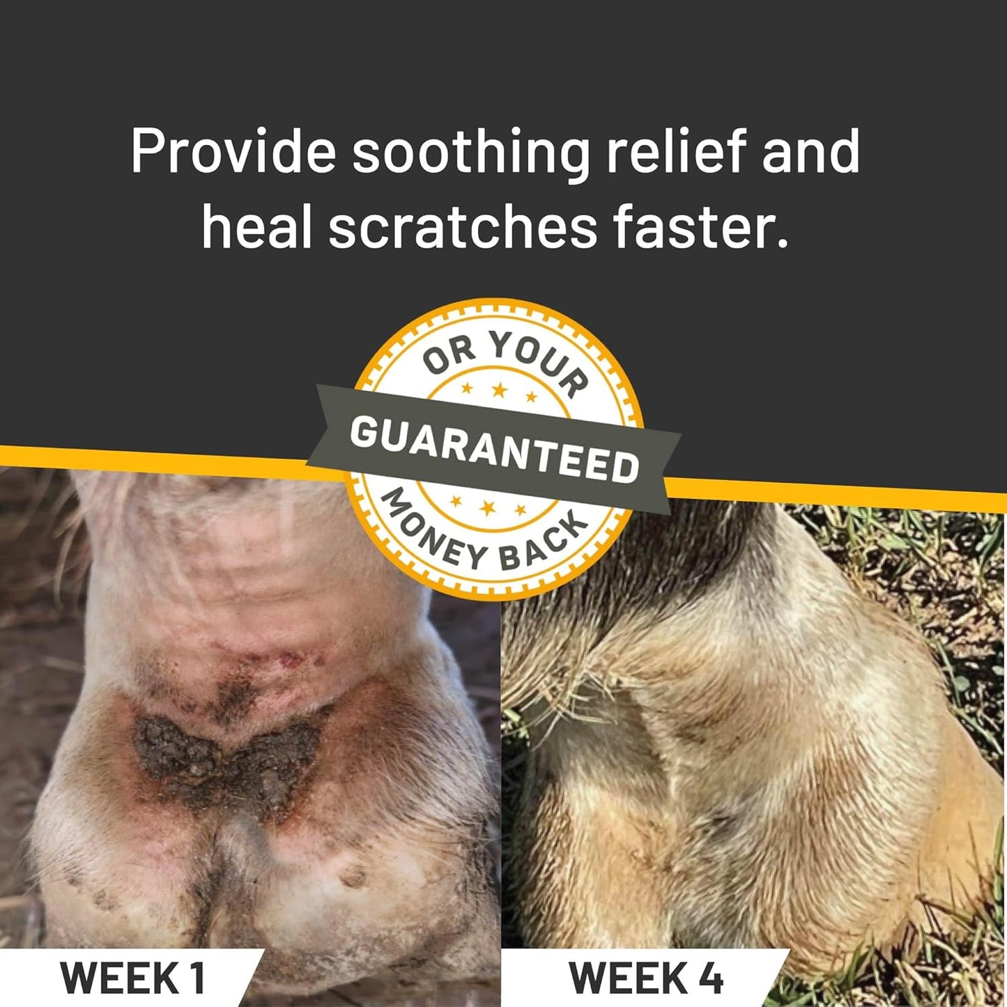 Absorbine Silver Honey Scratches Spray with RapidSorb Technology