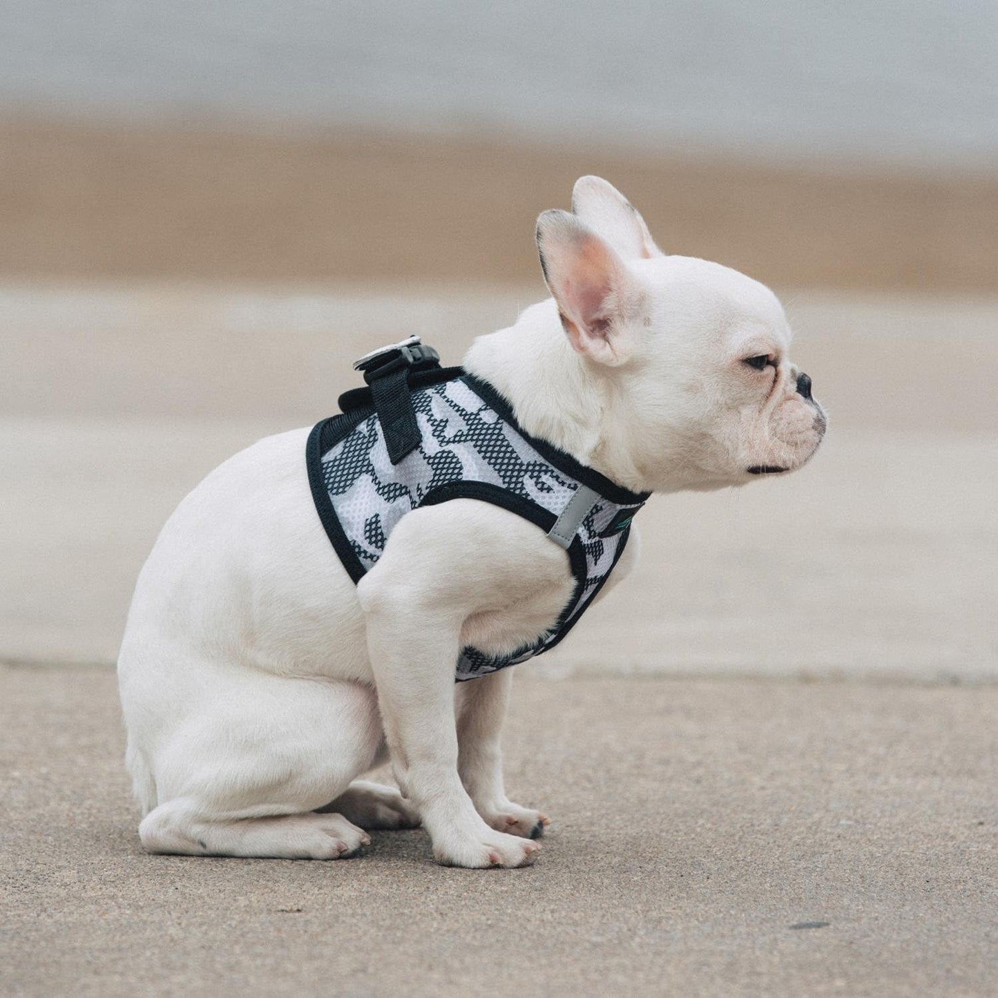 Ultra Choke Free Step in Reflective Dog Harness American River Camouflage Gray (Small)