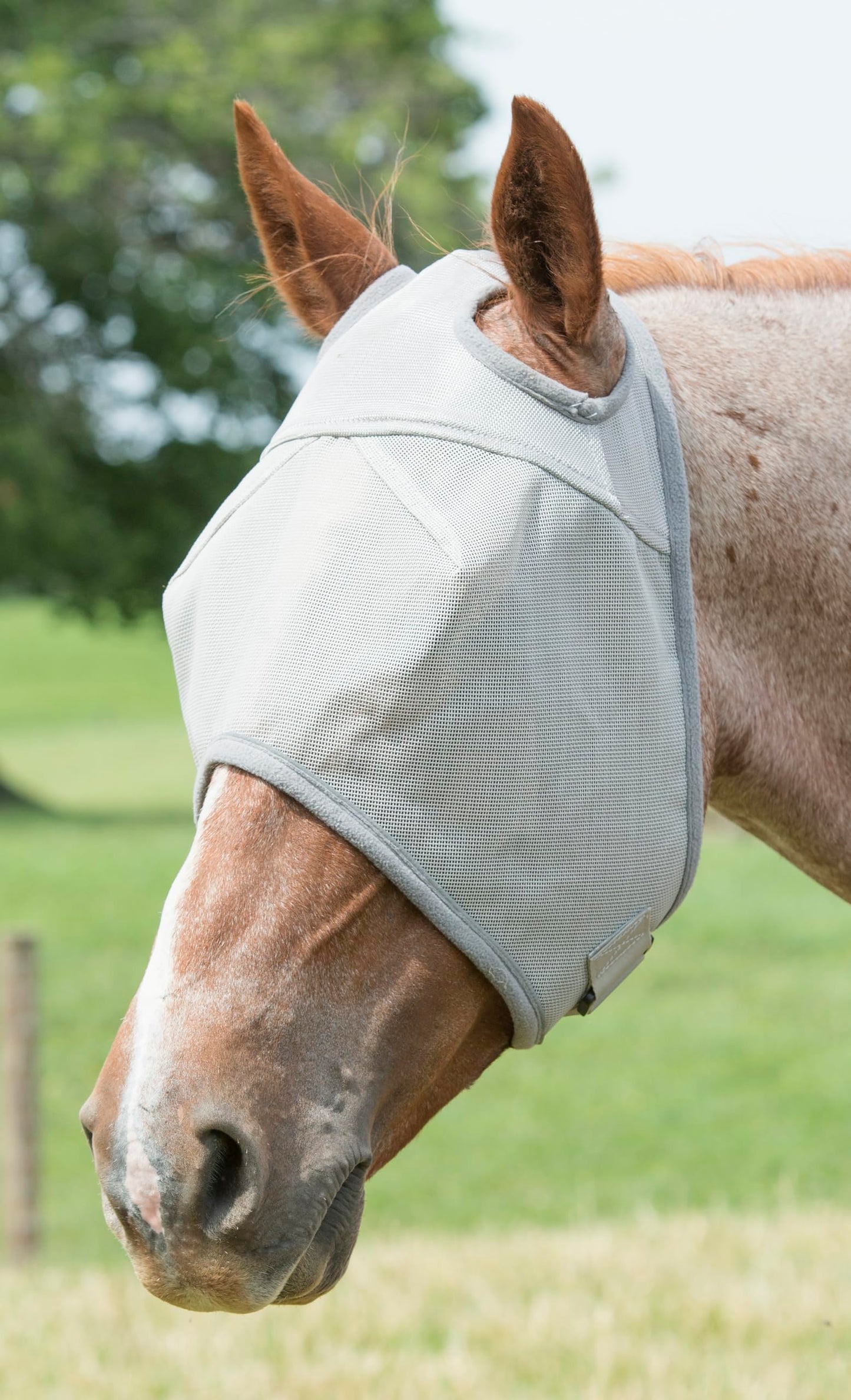 Weaver Leather Fly Mask with Replaceable Xtended Life Closure