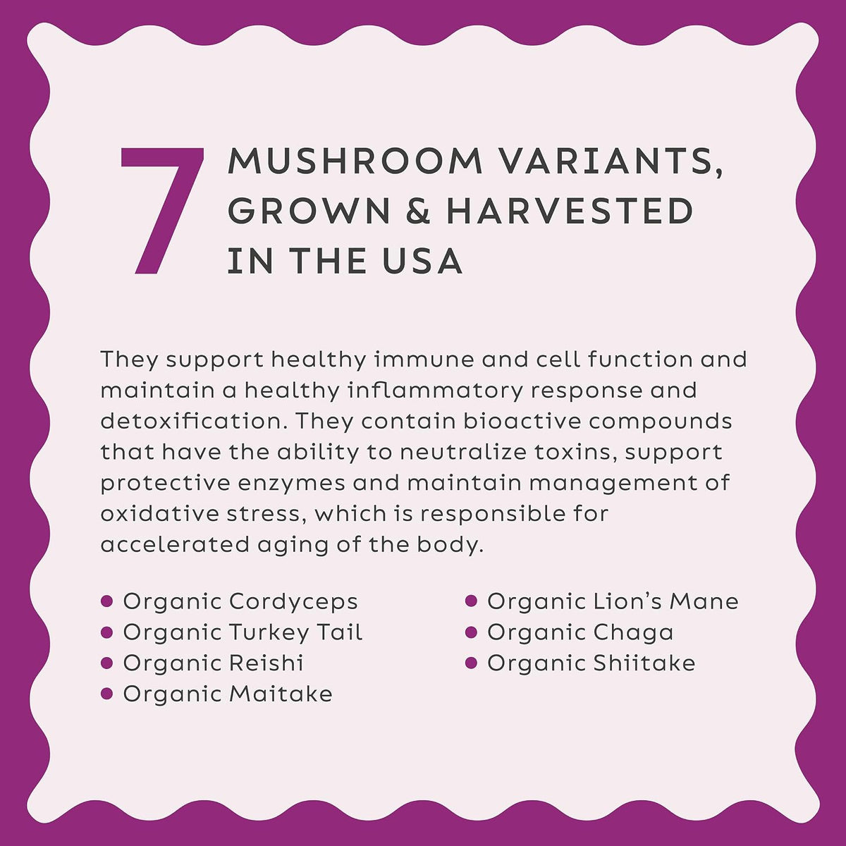 Super Snouts Seasonal Allergy Support Immune Supplement for Dogs