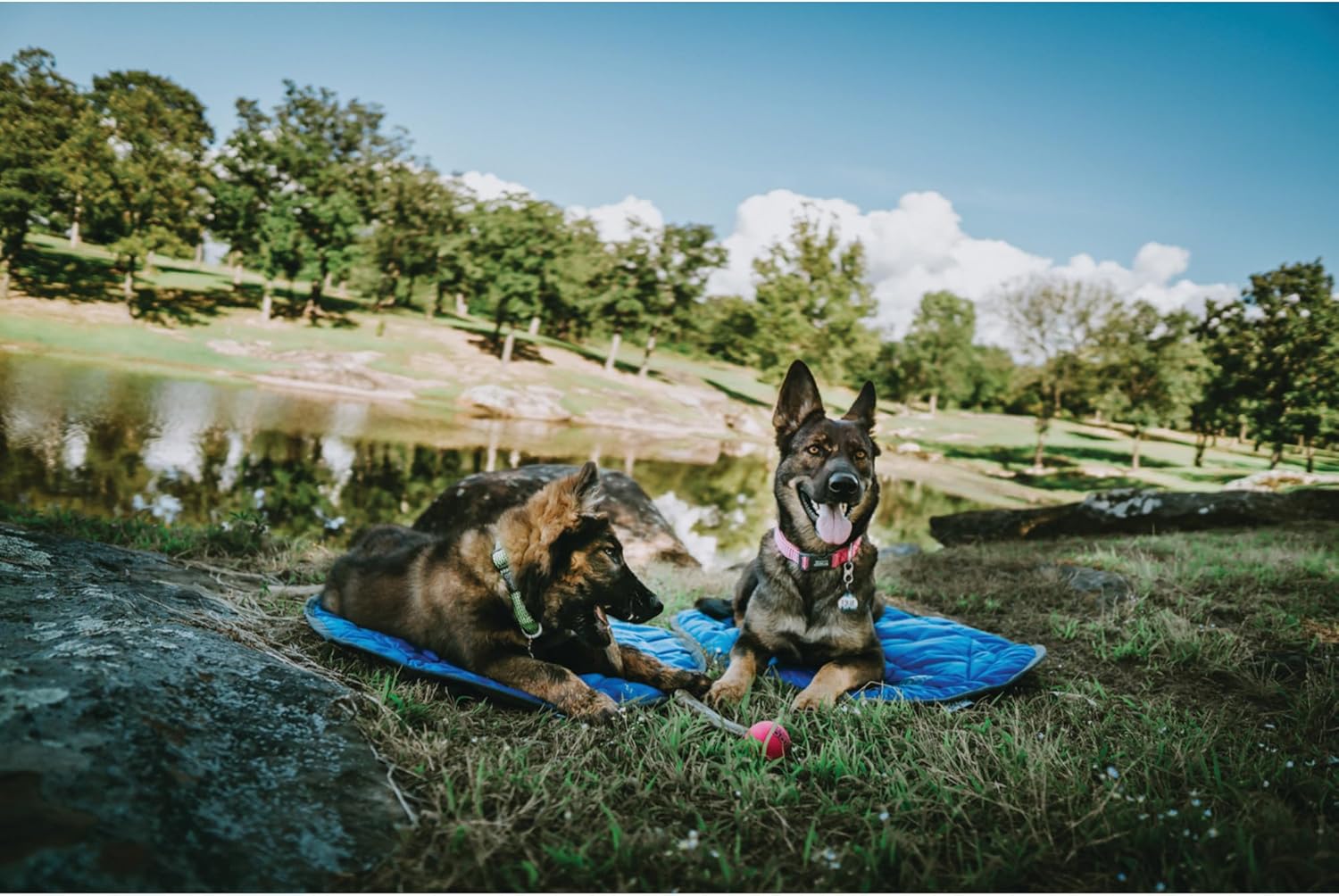 Weaver Leather Terrain Dog Camp Bed for Dog - Hooves and Paws