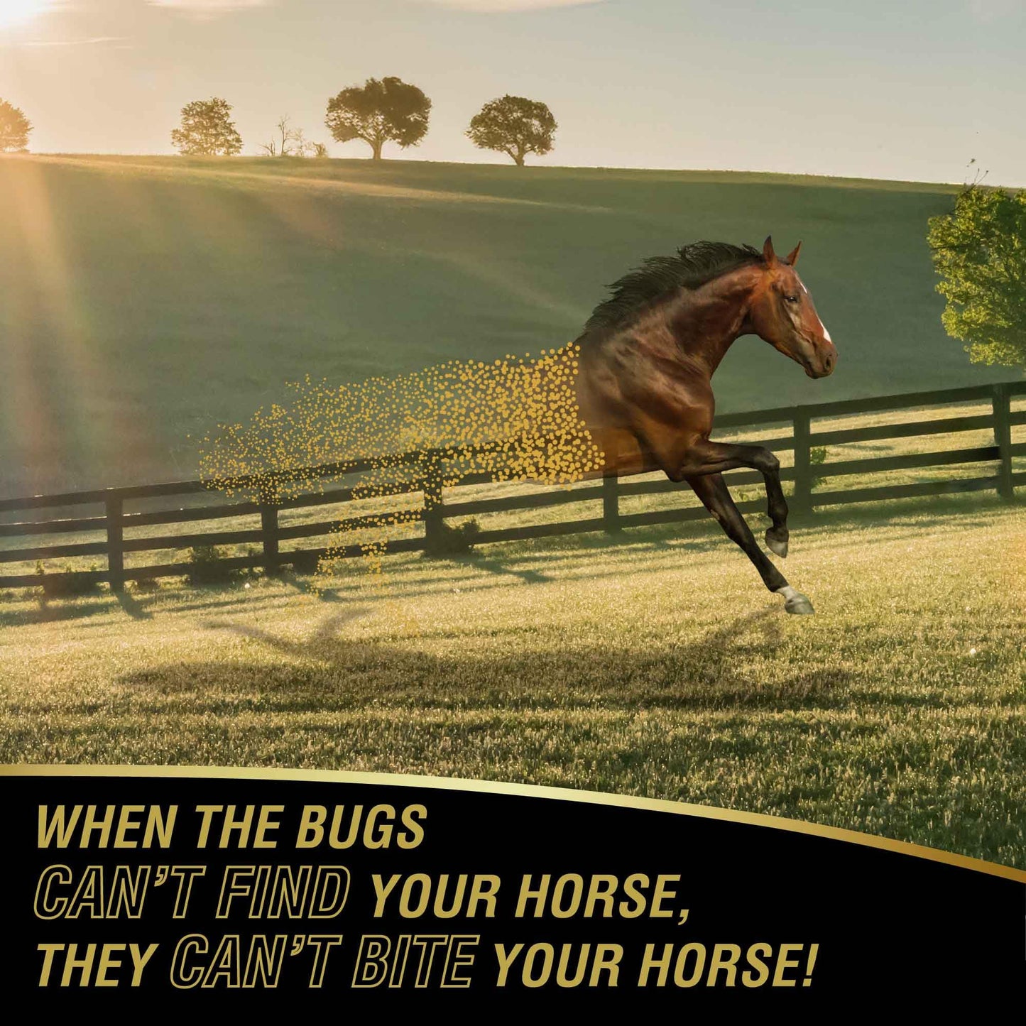 Absorbine UltraShield Gold Fly Spray – Blocks 100+ Insects