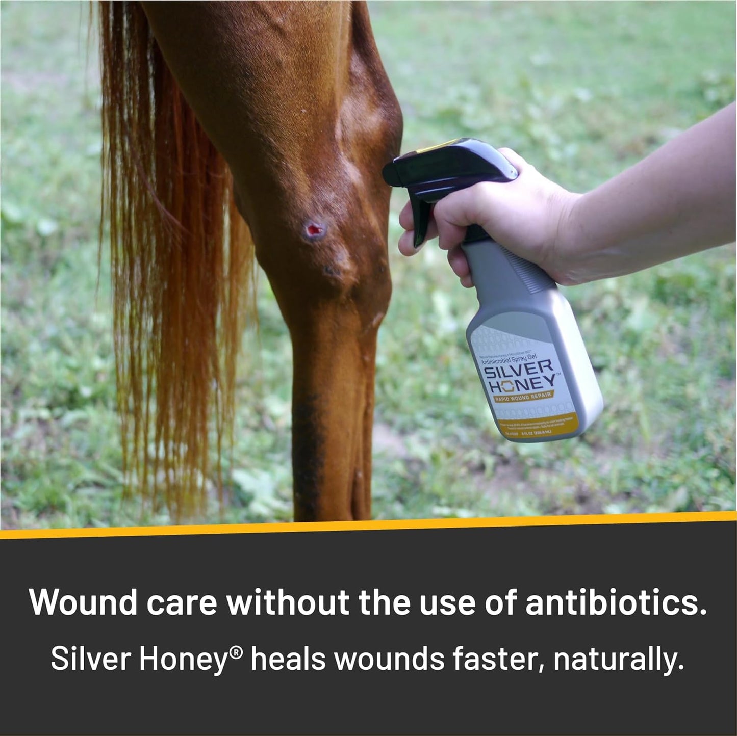 Absorbine Silver Honey Rapid Wound Repair Spray Gel 8oz