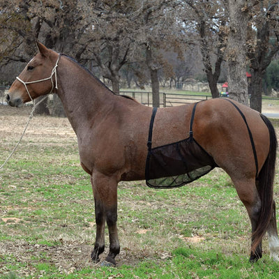 Cashel Quiet Ride Belly Guard - Small - Horse Protection from Insects & Irritation