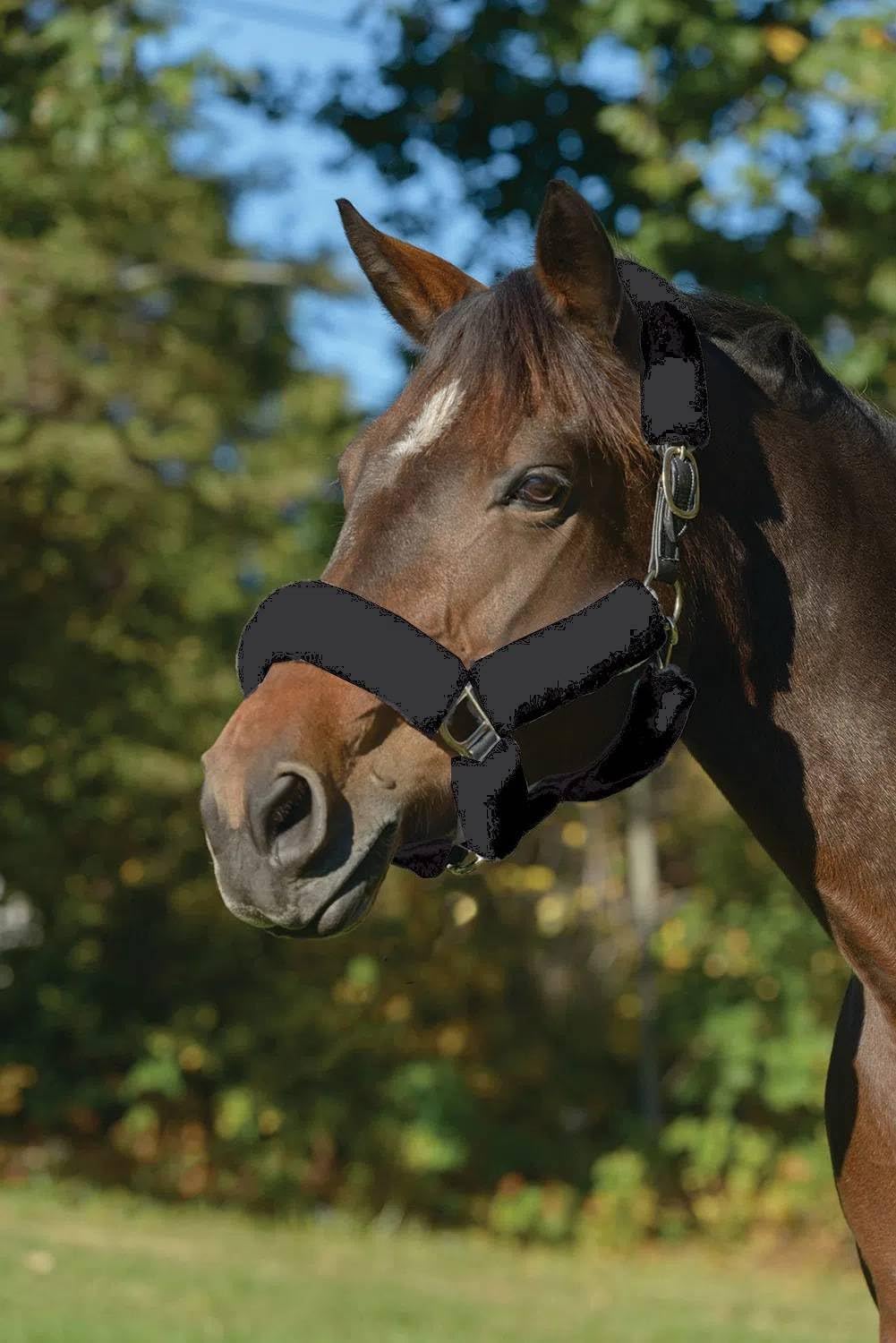Shires ARMA SupaFleece Halter Set 88507 - Hooves and Paws