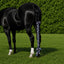 Toklat Jammies Lycra Horse Tail Bag - 3 Piece Set for Tail Protection and Growth