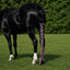Toklat Jammies Lycra Horse Tail Bag - 3 Piece Set for Tail Protection and Growth