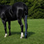 Toklat Jammies Lycra Horse Tail Bag - 3 Piece Set for Tail Protection and Growth
