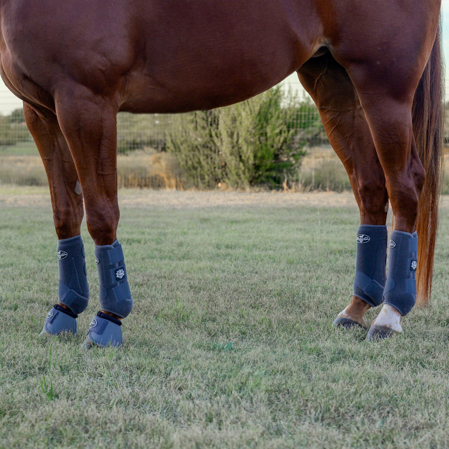 Professional's Choice Strike Sports Medicine Horse Boots (4-Pack) - 2XCool Lining & TPU Strike Shell - Multiple Sizes