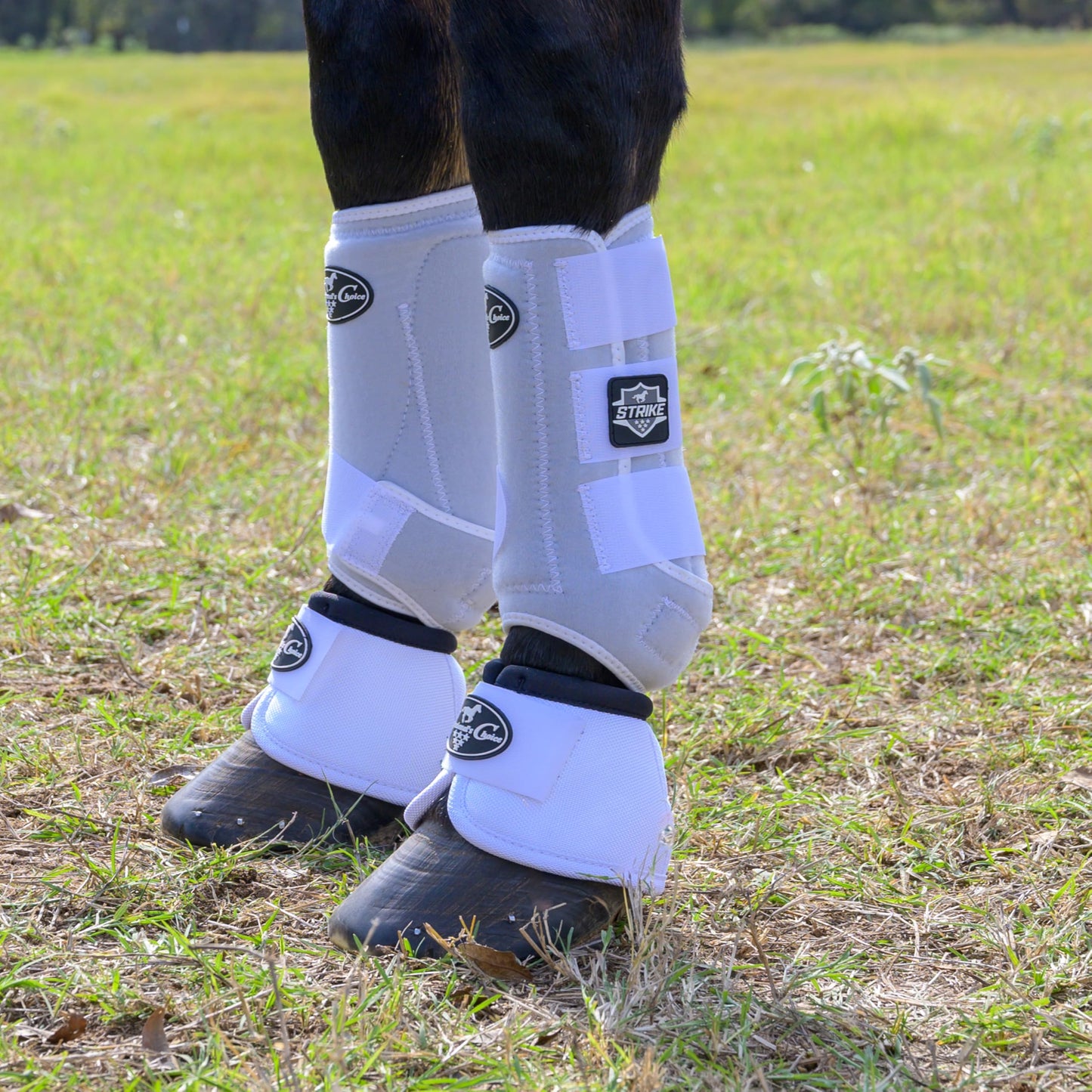 Professional's Choice Strike Front Sports Medicine Horse Boots - Brrr Cooling & TPU Impact Protection - Multiple Sizes