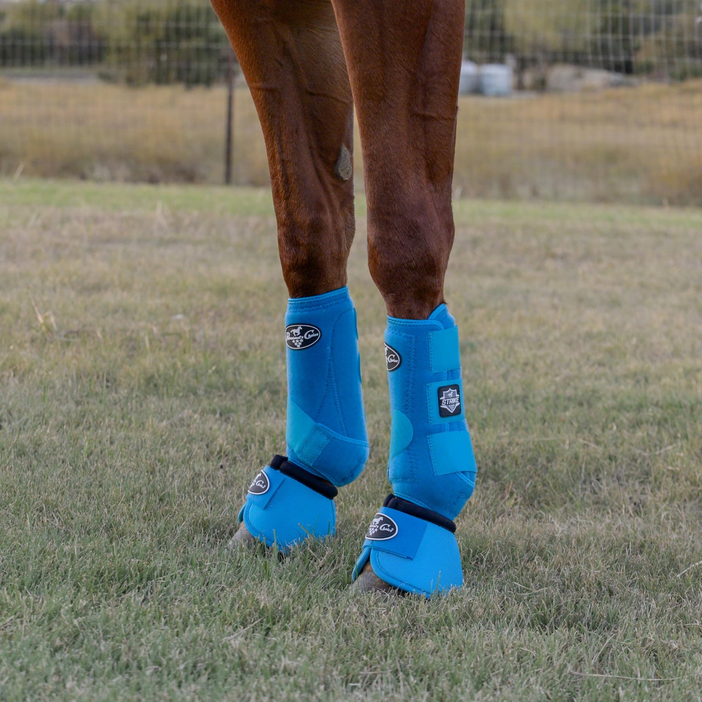 Professional's Choice Strike Front Sports Medicine Horse Boots - Brrr Cooling & TPU Impact Protection - Multiple Sizes