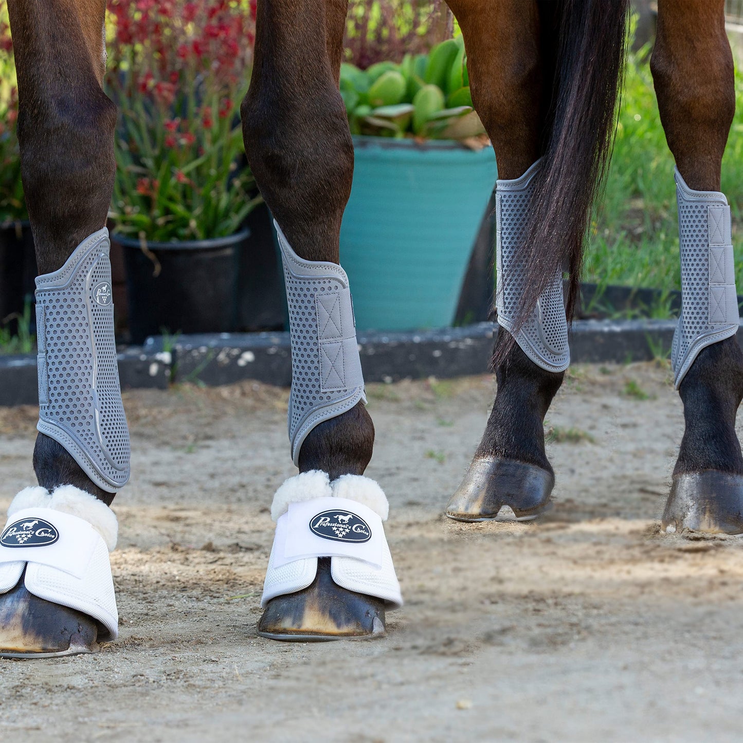 Pro Performance Hybrid Splint Boots | Durable, Waterproof Horse Leg Protection