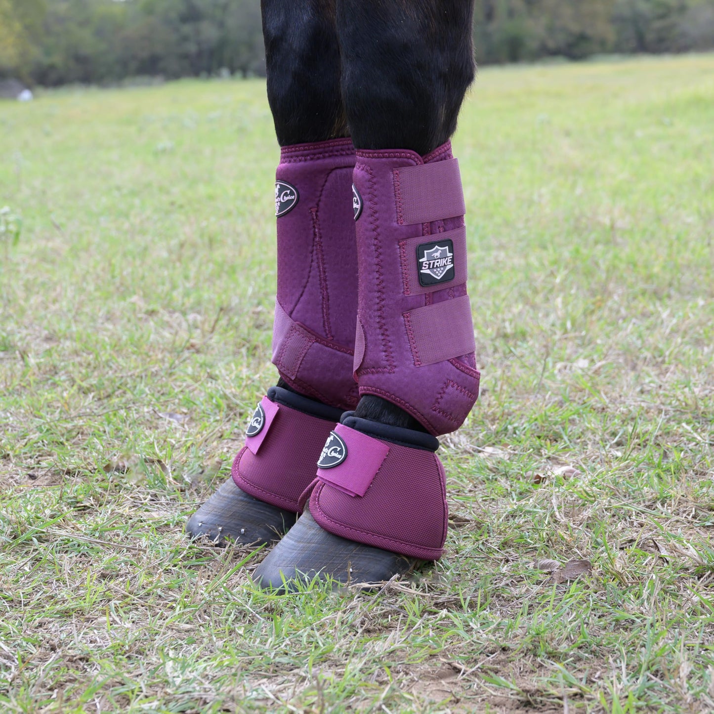 Professional's Choice Strike Front Sports Medicine Horse Boots - Brrr Cooling & TPU Impact Protection - Multiple Sizes