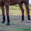 Professional's Choice Strike Sports Medicine Horse Boots (4-Pack) - 2XCool Lining & TPU Strike Shell - Multiple Sizes
