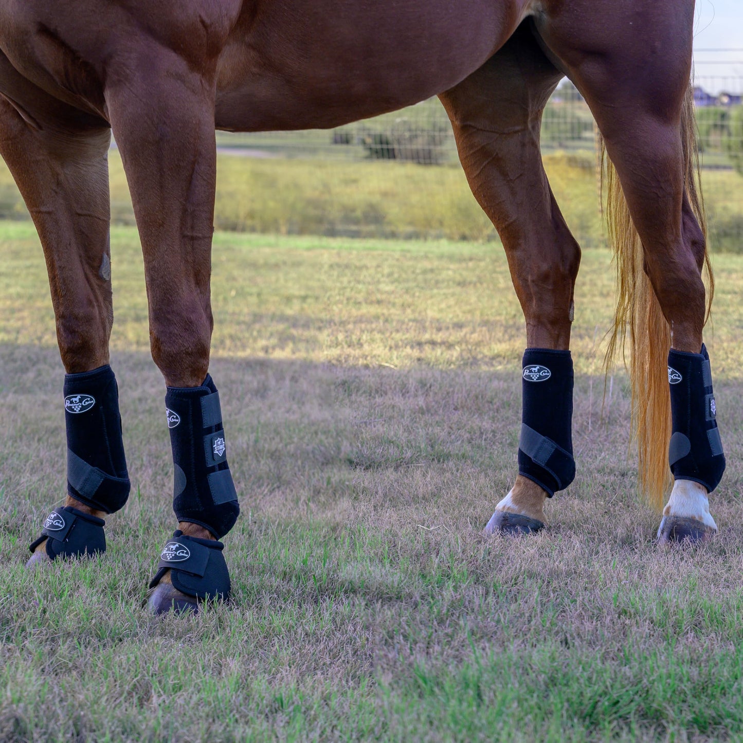 Professional's Choice Strike Sports Medicine Horse Boots (4-Pack) - 2XCool Lining & TPU Strike Shell - Multiple Sizes