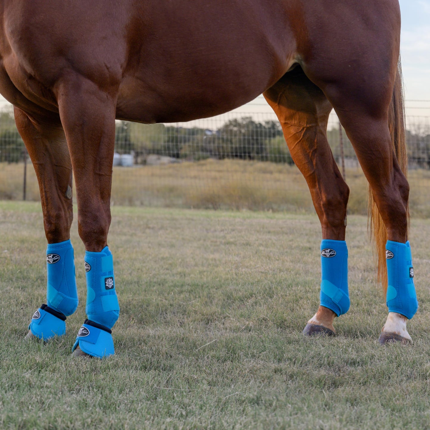 Professional's Choice Strike Sports Medicine Horse Boots (4-Pack) - 2XCool Lining & TPU Strike Shell - Multiple Sizes