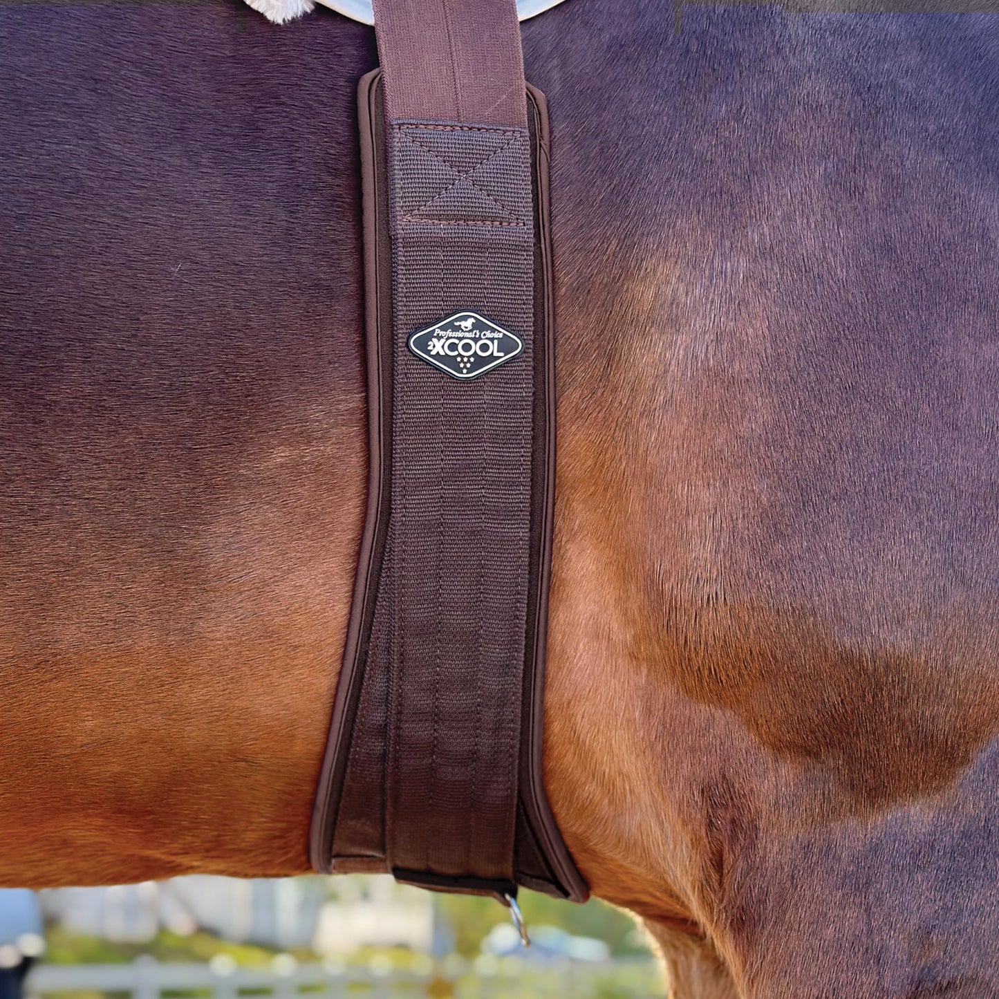 Professional's Choice 2XCOOL English Girth | Cooling Minerals Infused in Liner | V-Shaped Design for Pressure Distribution | Honeycomb Silicone Soft Grip