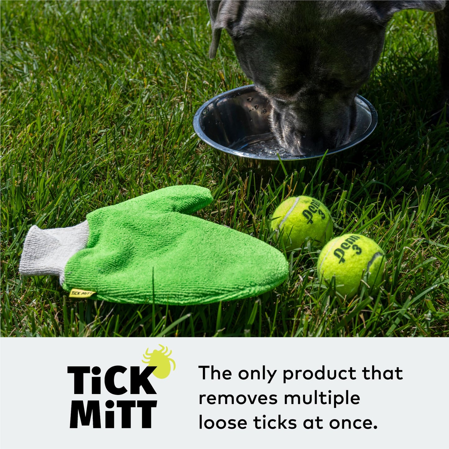 TiCK MiTT Tick Removal Glove for Humans & Pets - Safely Remove Ticks Effortlessly, Chemical-Free, Durable, Portable Tick Management Tool for Outdoor Adventures & Everyday Use | Safely Remove Ticks Effortlessly, Chemical-Free, Durable, Portable Tick