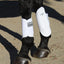 Pro Performance Hybrid Splint Boots | Durable, Waterproof Horse Leg Protection