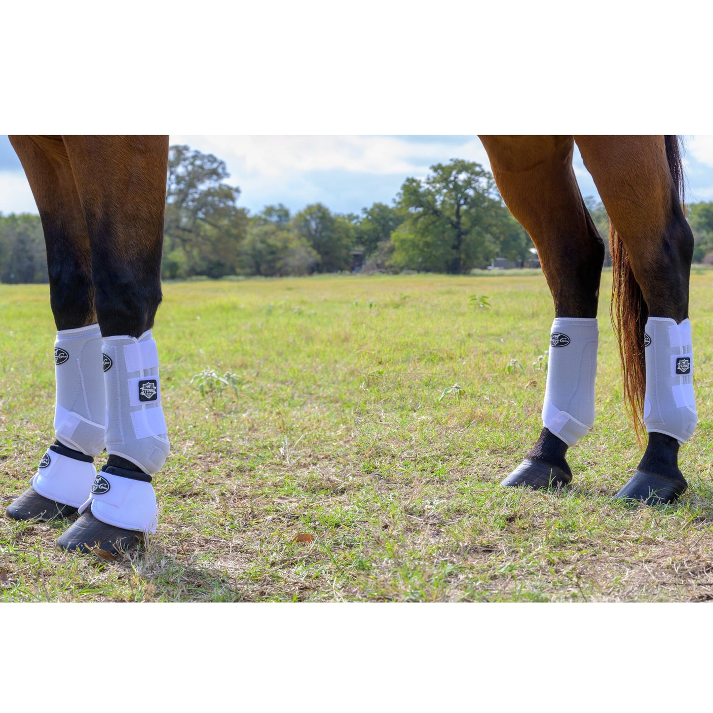 Professional's Choice Strike Sports Medicine Horse Boots (4-Pack) - 2XCool Lining & TPU Strike Shell - Multiple Sizes