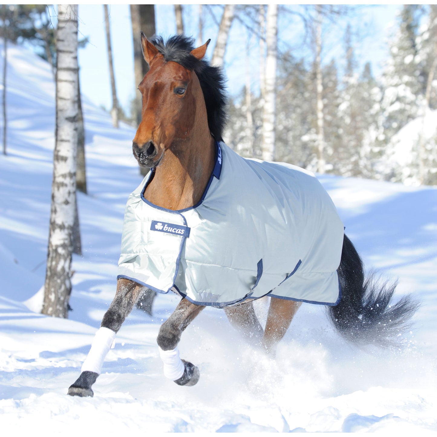 BUCAS POWER EXTRA CLASSIC T/O