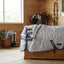 Lifestyle photo of Toklat Bucas X Fly Sheet - Durable Mesh Horse Fly & UV Protection - Multiple Sizes