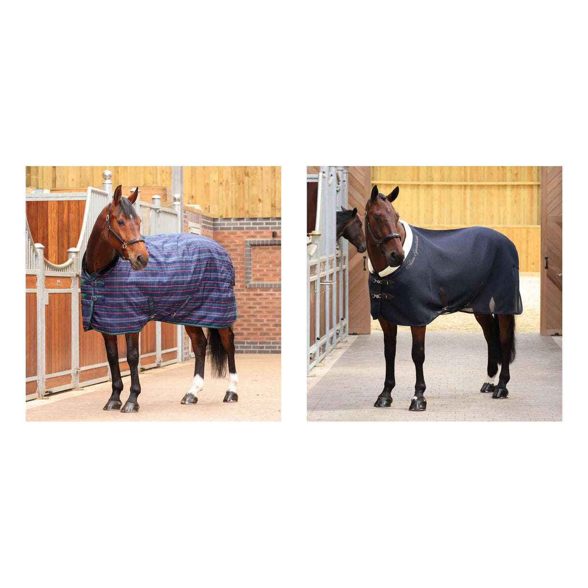 Shires Blanket-Up Kit — 72"