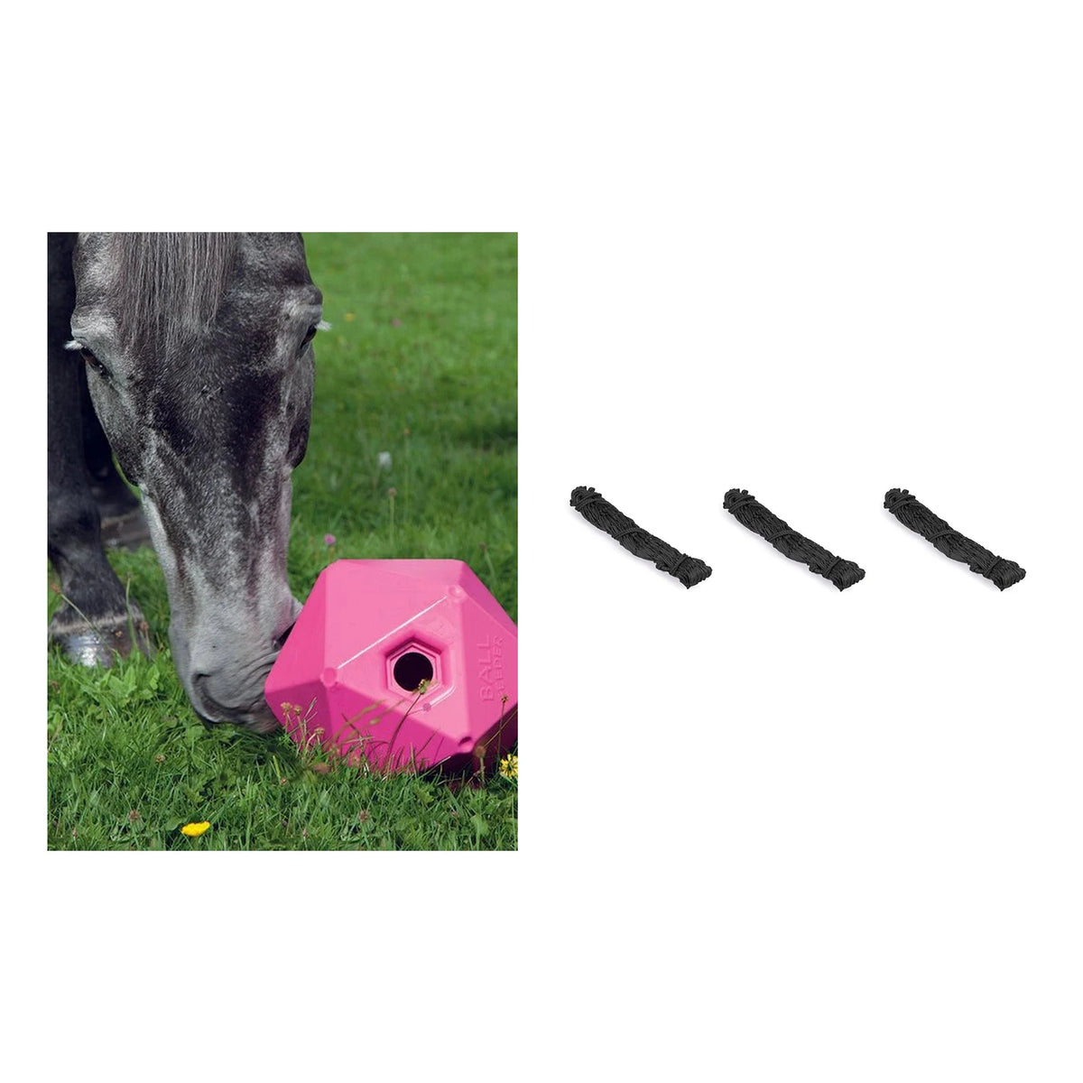 Shires Stall Boredom Buster Kit — Pink