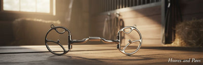 Myler Western Dee horse bit with Sweet Iron Low Port Comfort Snaffle on a wooden stable floor in warm sunlight.