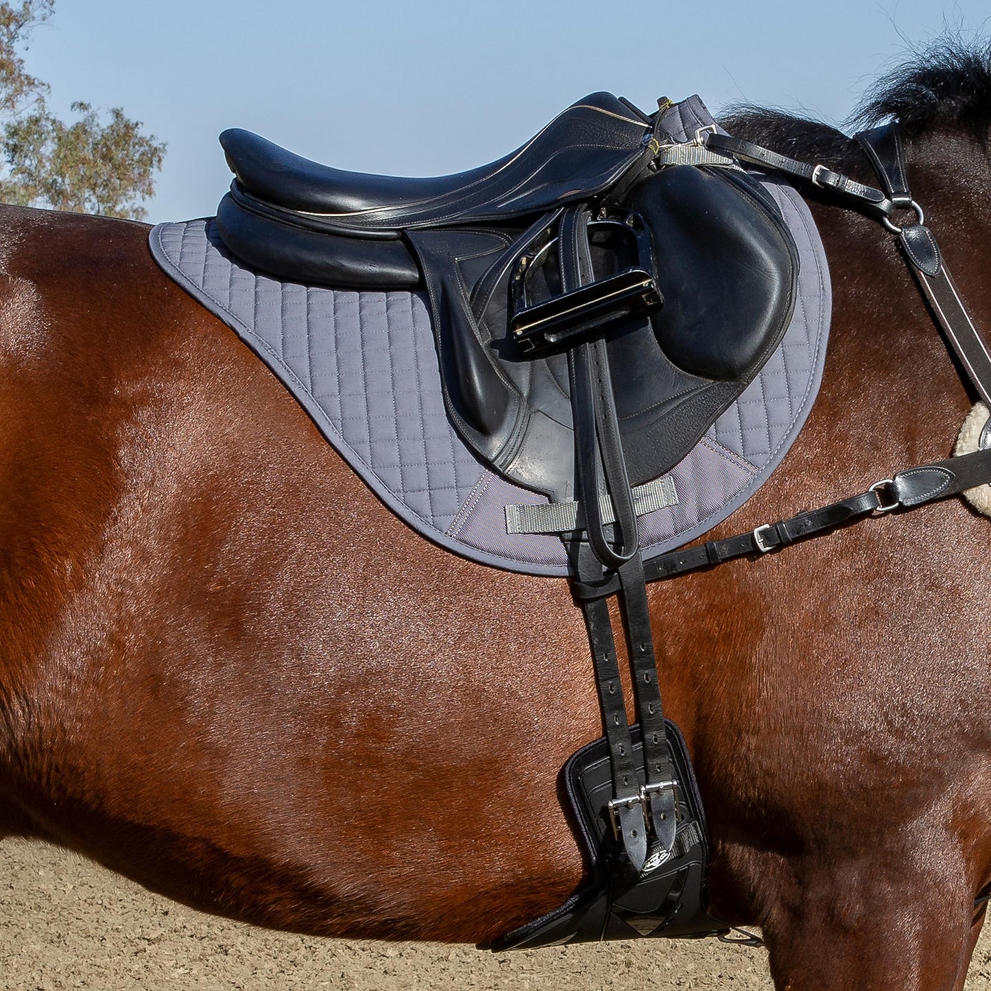 Professional's Choice VenTECH XC Cross Country Saddle Pad - Breathable & Durable 23" x 20"