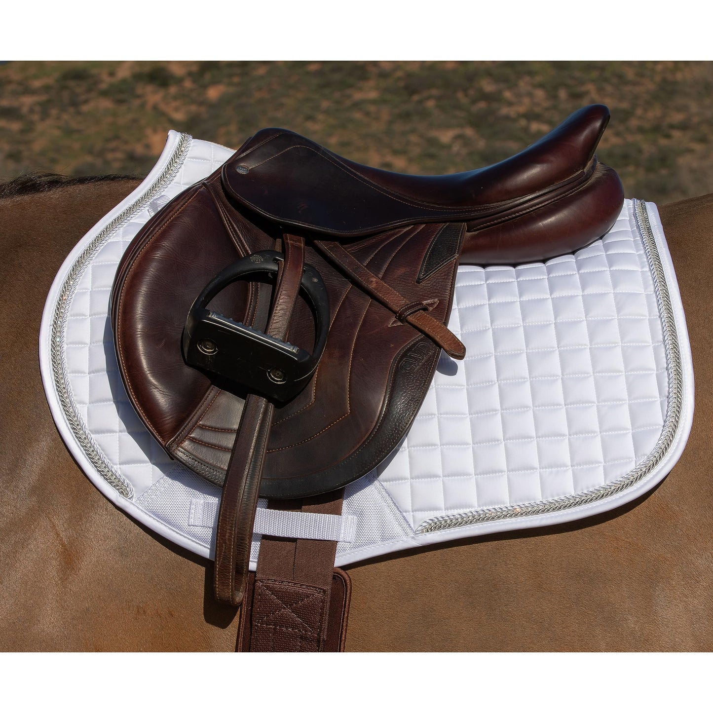 Professional's Choice VenTECH Satin English Jump Saddle Pad - Breathable Non-Slip - 21.5" Spine x 20.5" Drop