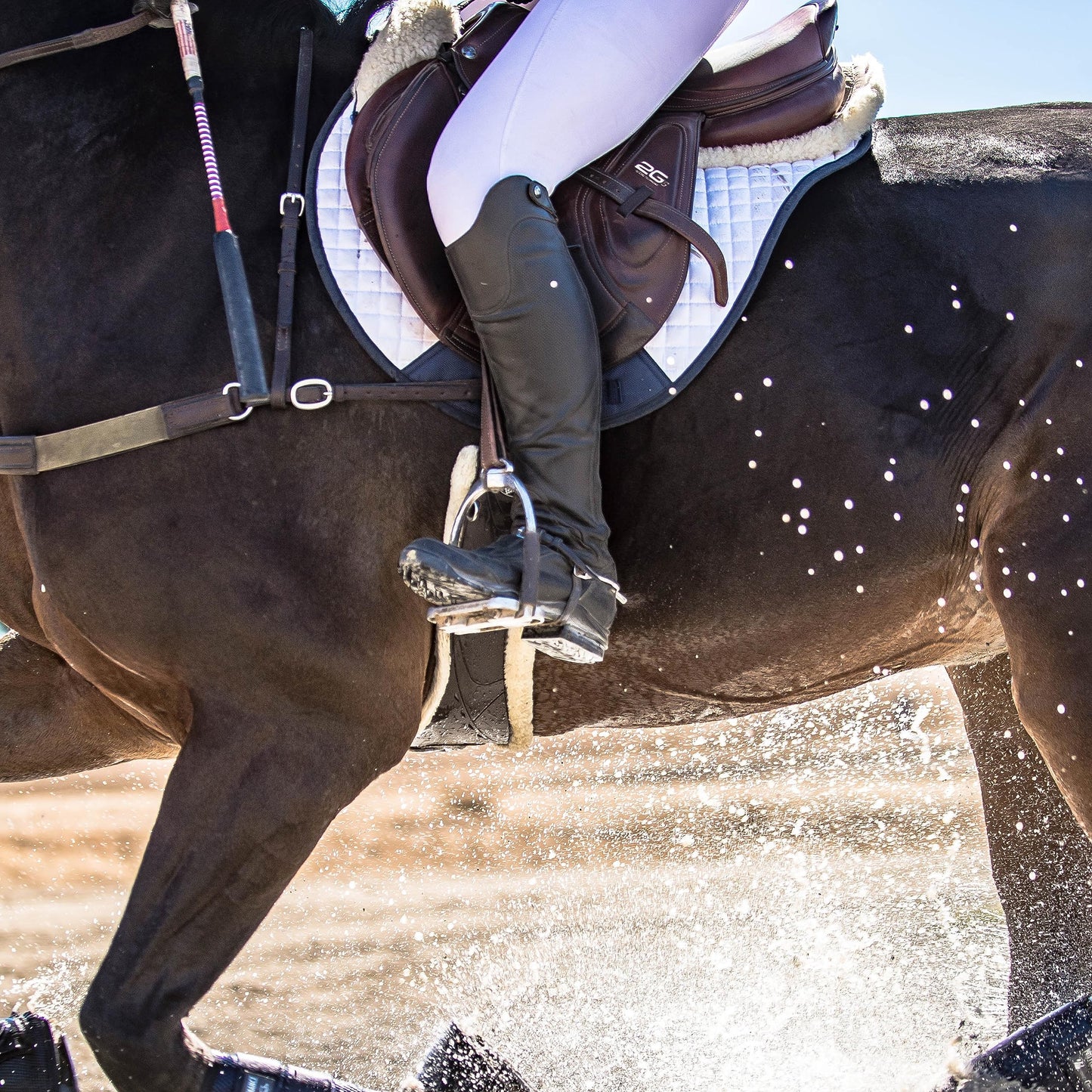 Professional's Choice VenTECH XC Cross Country Saddle Pad - Breathable & Durable 23" x 20"