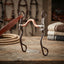 Lifestyle photo of Professional's Choice Equine Signature Shank Western Horse Bit - Medium Port, Copper Mouthpiece