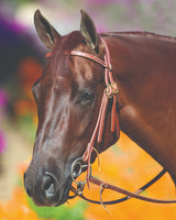 AV Bob Avila Double Ring Snaffle Horse Bit - Sweet Iron Mouthpiece, 3" Rings - Multiple Sizes