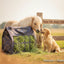 Classic Equine Topload Western Horse Hay Bag - Heavy Duty Waste-Reducing 2-3 Flake Capacity