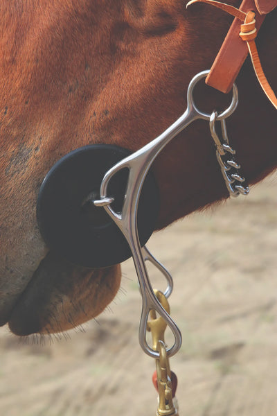 Brittany 8" Shank 3-Piece Smooth Gag Horse Bit