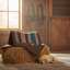Classic Equine 3/4-Inch Alpaca Felt Blanket Top Horse Saddle Pad - Anatomically Contoured, Alpaca-Wool Blend