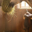 Cashel Hay Net - Slow Feeder Horse Forage Net - 3-Flake Capacity - Multiple Colors