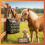 Cashel Slow Feed Top Load Hay Bag | Horse Health & Well-being