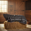 Classic Equine 10K Cross Trainer Waterproof Hooded Winter Horse Blanket - 1200D 300g - Multiple Sizes
