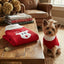 Lifestyle photo of Doggie Design Red Rudolph Holiday Dog Sweater - Extra-Thick Acrylic Knit - Multiple Sizes