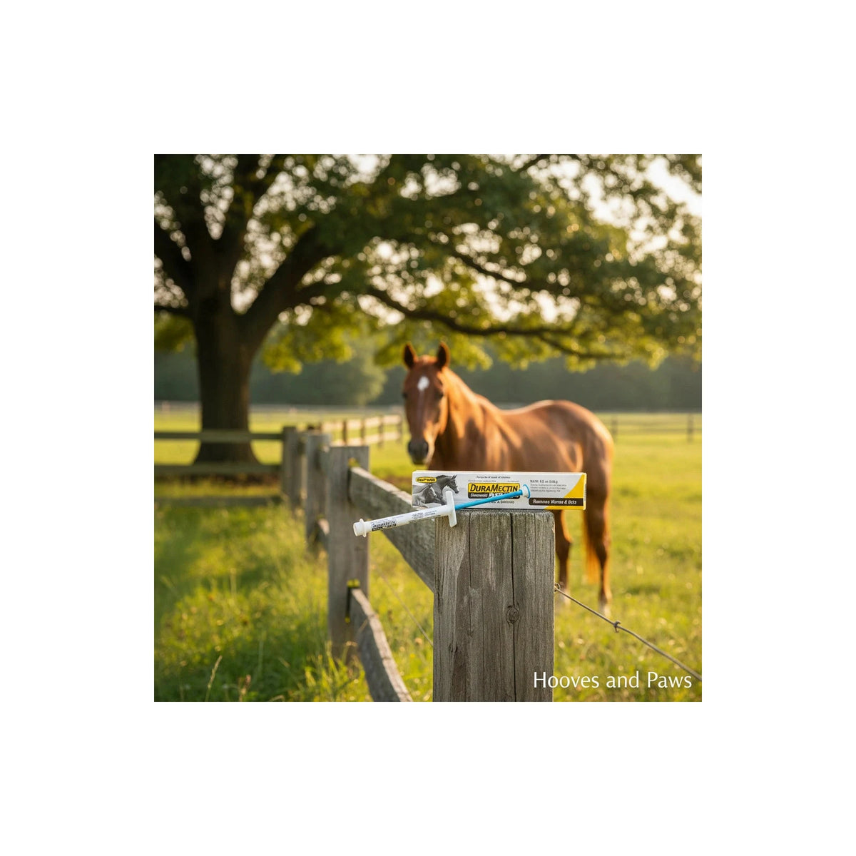 Durvet Duramectin Ivermectin 1.87% Paste Horse Wormer & Boticide — 3 Tubes