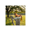 Durvet Duramectin Ivermectin 1.87% Paste Horse Wormer & Boticide — 6 Tubes